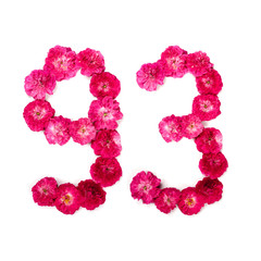 number 93 from flowers of a red and pink rose on a white background. Typographical element for design. Flower numbers, date, isolate, isolated