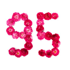 number 95 from flowers of a red and pink rose on a white background. Typographical element for design. Flower numbers, date, isolate, isolated