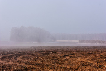 Naklejka na ściany i meble Fog early in the morning over a plowed field.