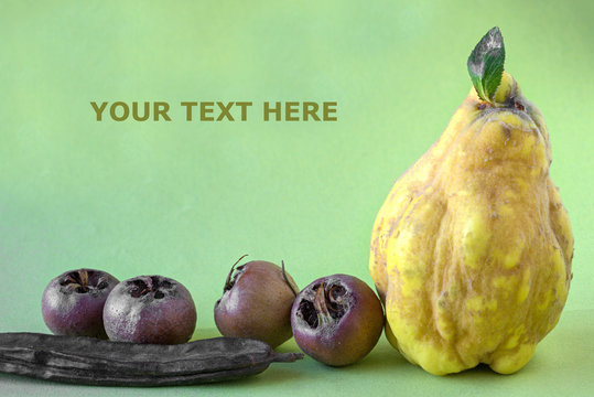 Herbstfr&uuml;chte mit Textfreiraum