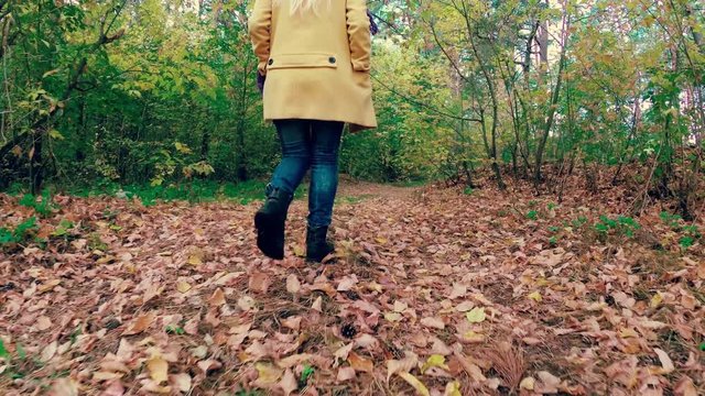 girl walk in the autumn colorful beautiful forest.