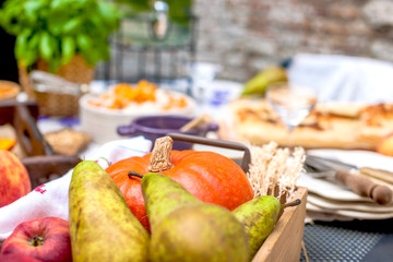 Delicious autumn holiday. Rice and pumpkin for a family dinner. Copy space.