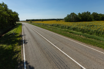 Empty asphalt road along scenic green landscape