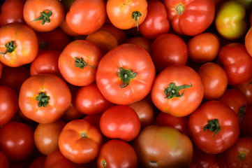 close up of red tomatoes for background