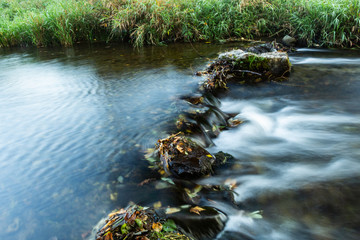 Wide-angle view of a muskeg pond with ditch-water in the shadow of trees on a summer day: plenty of branches, plants
