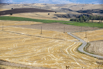 After the fields are vulnerable