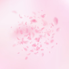 Sakura petals falling down. Romantic pink flowers explosion. Flying petals on pink square background