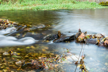 The sun's rays in the pond. The sun has risen and has lit pond, grass growing in it and water.