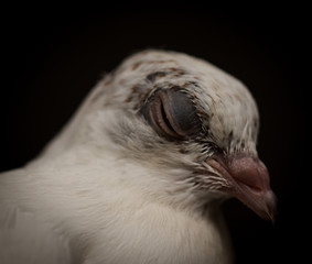 Macro World © Krzysztof