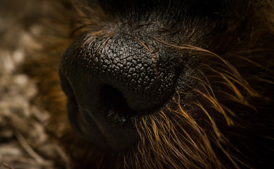 Macro World © Krzysztof