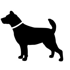 Black and white silhouette of dog l