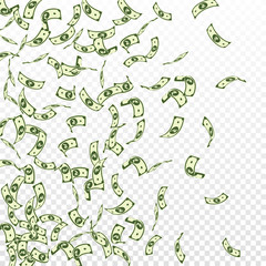 Indian rupee notes falling. Sparse INR bills on transparent background. India money. Brilliant vecto