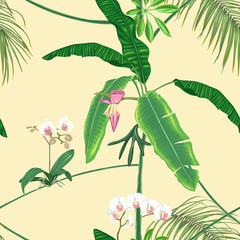 Seamless pattern, background. with tropical plants and flowers.