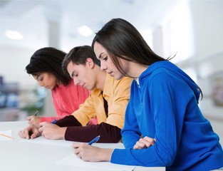 Young students writing notes in classroom