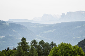 trees in front of scenic mountainscape near Meran