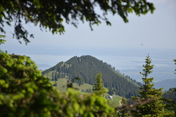 Sunny mountain view of the European Alps through conifer trees