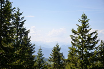 Sunny mountain view of the European Alps
