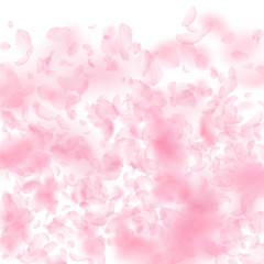 Obraz na płótnie Canvas Sakura petals falling down. Romantic pink flowers gradient. Flying petals on white square background