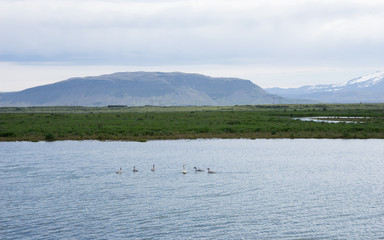 Landschaft auf der Fahrt ins isländische Hochland (Landmannalaugar / Þórsmörk) / Süd-Island