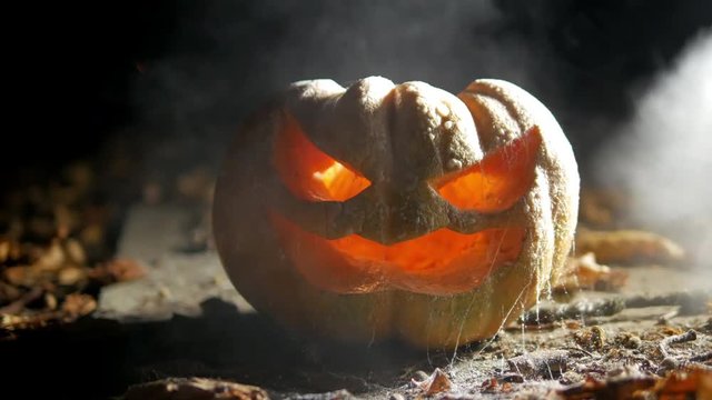 Terrible pumpkin with luminous eyes in a dark forest and creeping sinister smoke in the autumn forest