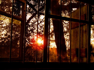 Sunset on the window 