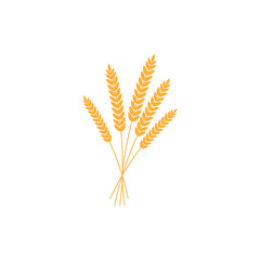 vector illustration of wheat, rye or barley ears with whole grain, yellow wheat, rye or barley crop harvest symbol or icon isolated on white background.