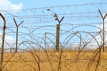 Barbed wire fence