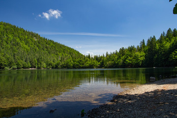 Schwarzwaldsee