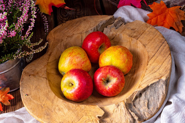 Malus sylvestris, the tasty European crab apple,