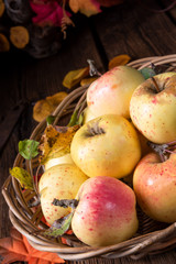 Naklejka na ściany i meble fresh and tasty organic apples in a basket