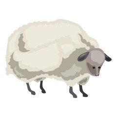 Sheep icon. Cartoon of sheep vector icon for web design isolated on white background