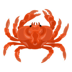 Crab icon. Cartoon of crab vector icon for web design isolated on white background