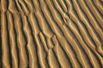 Undulations in sand on Studland beach at low tide, Dorset