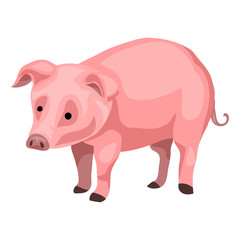 Farm pig icon. Cartoon of farm pig vector icon for web design isolated on white background