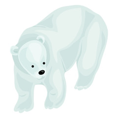 White bear icon. Cartoon of white bear vector icon for web design isolated on white background