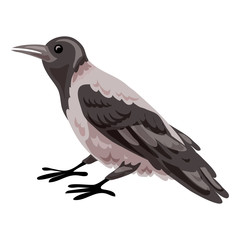 Obraz premium Crow icon. Cartoon of crow vector icon for web design isolated on white background