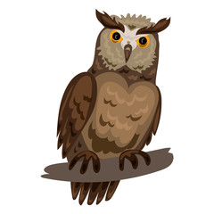Owl icon. Cartoon of owl vector icon for web design isolated on white background
