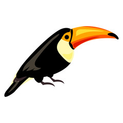 Toucan icon. Cartoon of toucan vector icon for web design isolated on white background