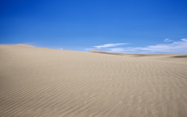 Fototapeta na wymiar sand pattern on dunes