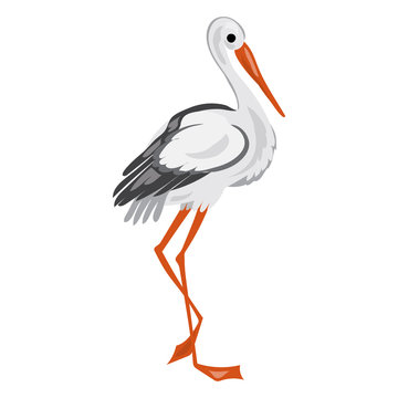Stork icon. Cartoon of stork vector icon for web design isolated on white background