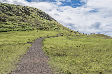 Fototapeta na wymiar La strada per la collina dei moai
