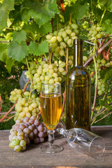 Glass of white wine and empty glass, bottle, bunch of grapes on old wooden table against vineyard..