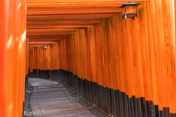 Red Tori Gate of Fushimi Inari Taisha Kiyomizu-dera Temple in Kyoto Japan