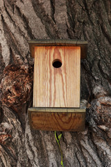Wooden bird house on bark tree background. Nesting box on tree for small wild birds.