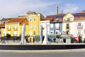 Sardines Roundabout With Colorful Houses