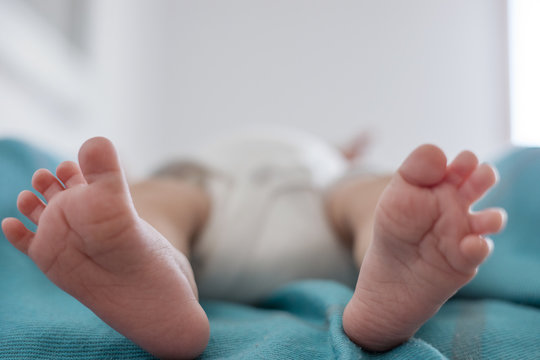 Cute feet of newborn baby on blue blanket