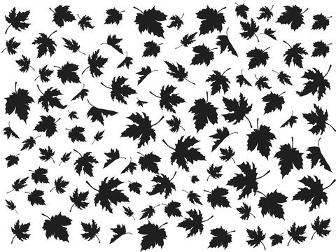 black maple seamless pattern vector background