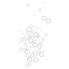 Shower bubbles icon. Realistic illustration of shower bubbles vector icon for web design