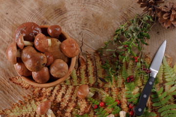 Autumn still life with mushrooms and forest plants.