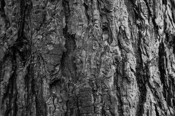 texture